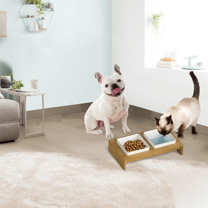 Double Dinner SQUARE dog-cat bowl