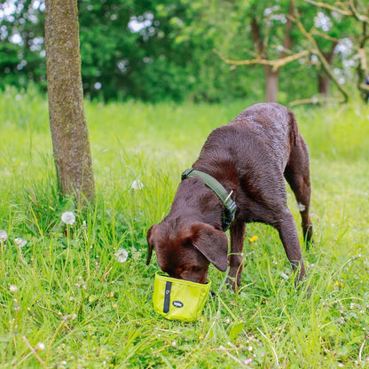 RIO Portable Dog Cat Bowl (1000ml)