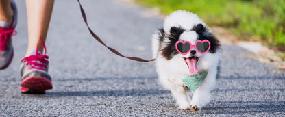 Heart Dog Cat Sunglasses