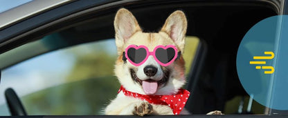 Heart Dog Cat Sunglasses