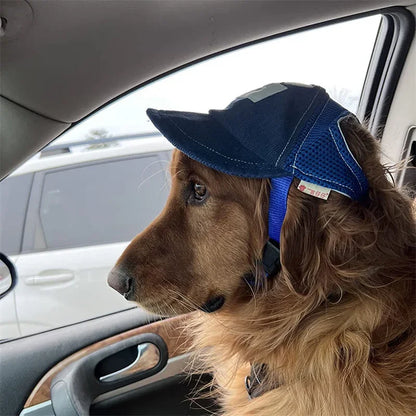 G Blue dog hat