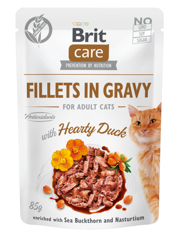 Κονσέρβα για γάτες BRIT CARE FILLETS IN GRAVY (85gr)(πολλές γεύσεις)