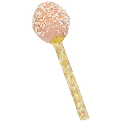 Λιχουδιά σκύλου Lollipop (40g)