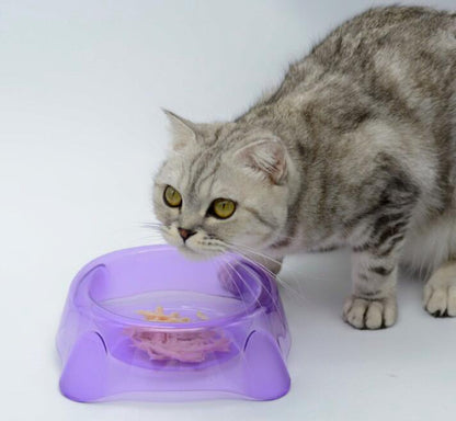 Transparent dog-cat bowl