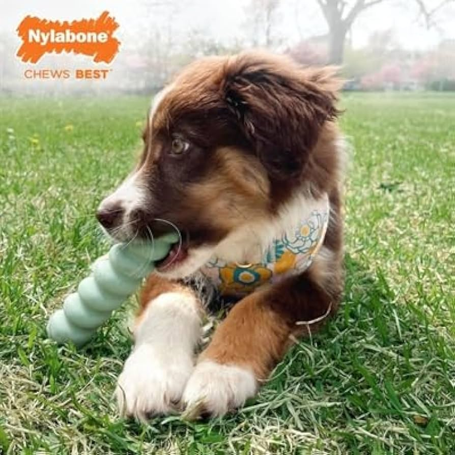 Παιχνίδι σκύλου Nylabone Roll & Chew Soothing Grooves Peanut Butter (S)