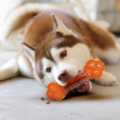 Παιχνίδι σκύλου Nylabone Sneaky Snacker Treat Toy (L)