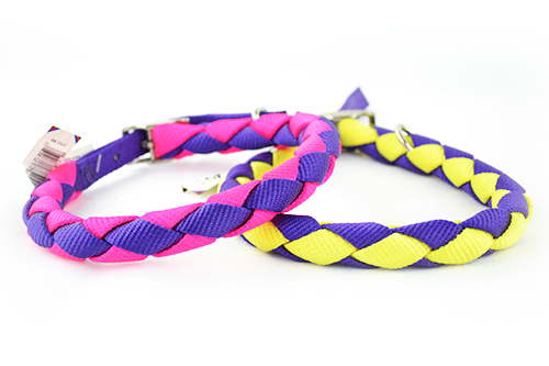 Two-tone braid dog collar