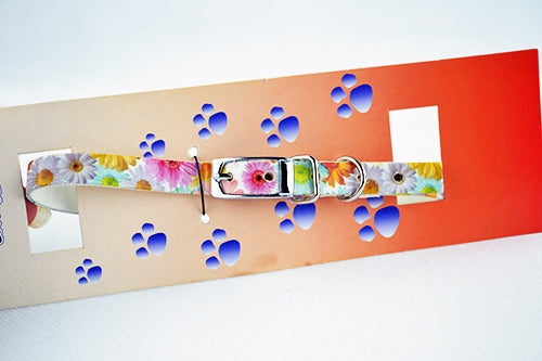 Dog collar with MBF designs