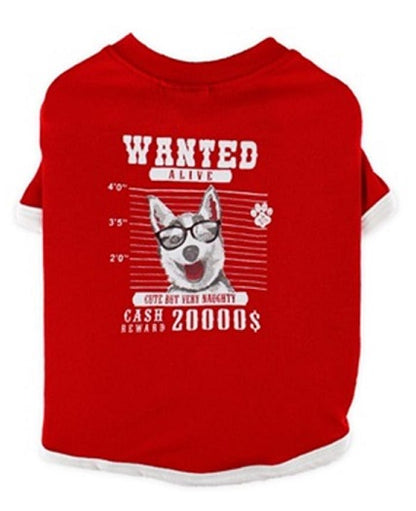 Dog clothes WANTED RED