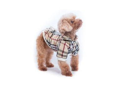 Fabulous Check Dog Clothes