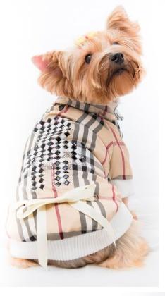 Fabulous Check Dog Clothes