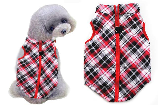 Classic SCOTCH jacket dog clothes