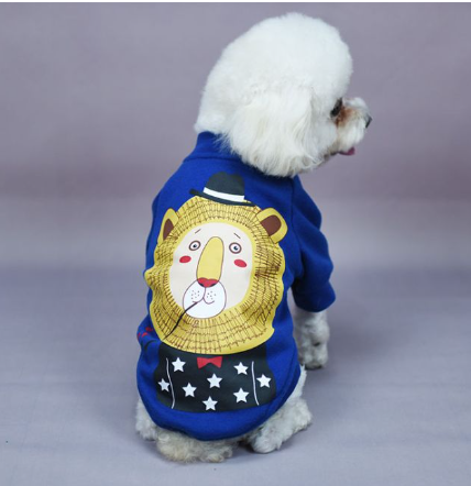 Mr Lion Dog Clothes