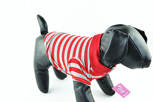 Dog clothes STRIPES RED GRAY