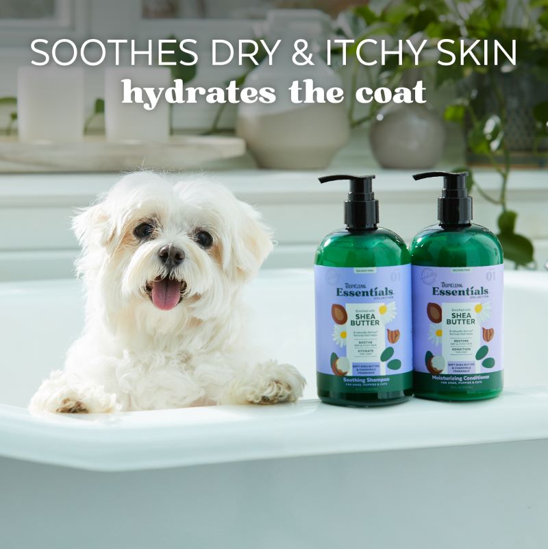 Essentials Collection Soothing Shea Butter Dog-Cat Shampoo (473ml)