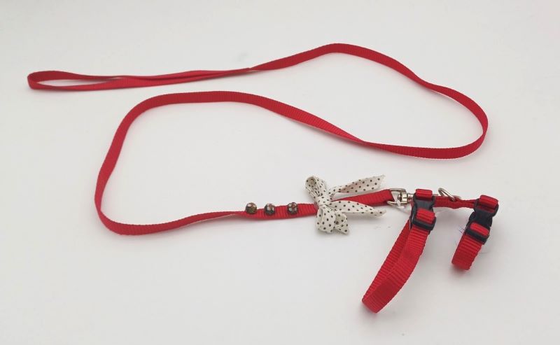 Red Bow dog-cat guide-muzzle set