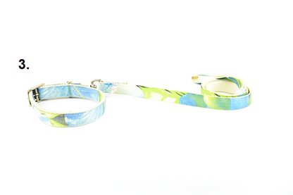 Funky dog ​​collar-guide set