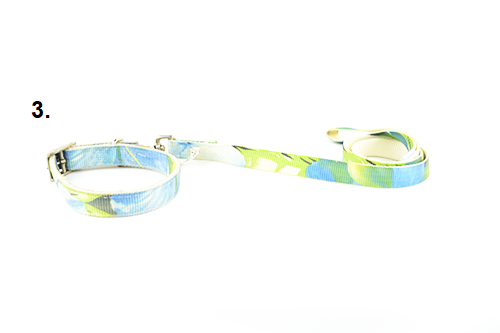 Funky dog ​​collar-guide set