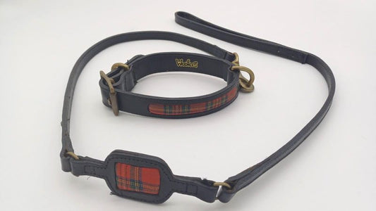 Black Leather Dog Guide Collar Set