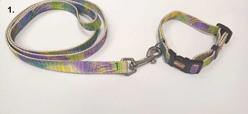 Funky dog ​​collar-guide set