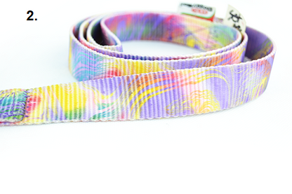 Funky dog ​​collar-guide set