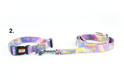 Funky dog ​​collar-guide set