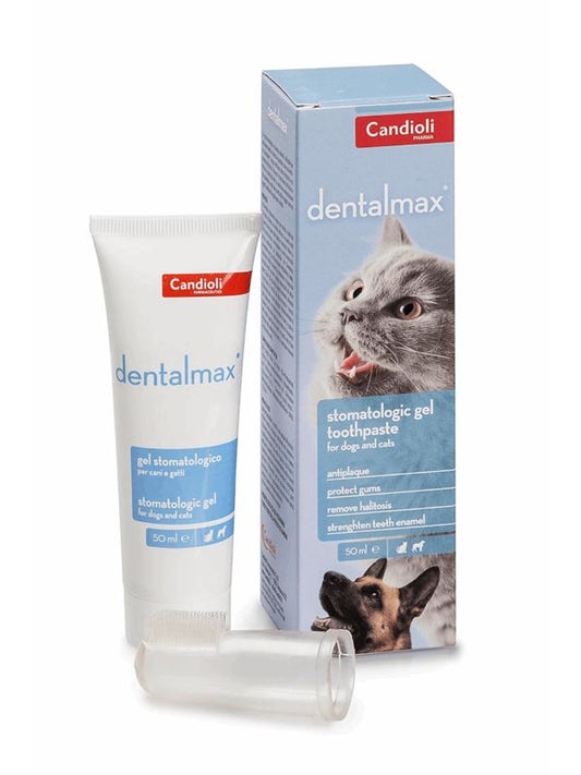 Oral Gel for dogs and cats DentalMax (50ml)