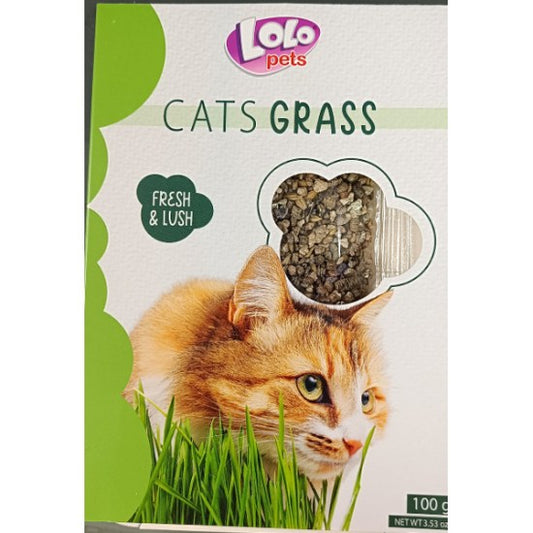 Xόρτο για γάτες Lolopets Cats Grass