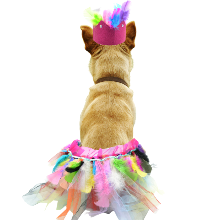 Carnival QUEEN cat-dog costume