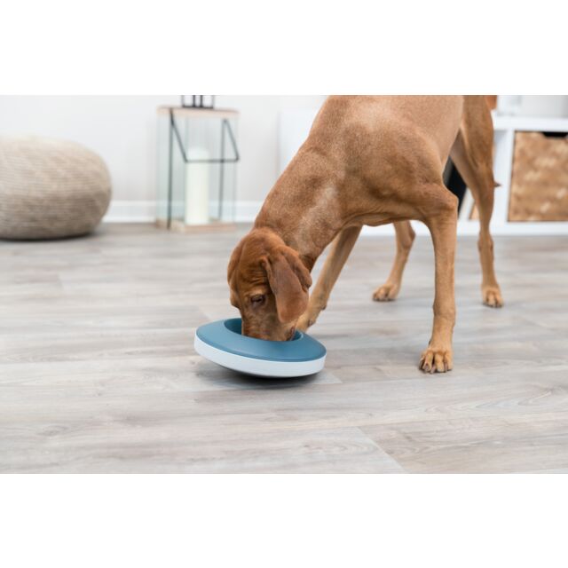 Rocking Bowl Anti Binge Dog Bowl