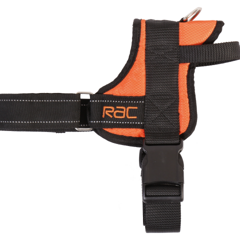 Επιστήθιο σκύλου RAC Walking Harness