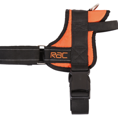 Επιστήθιο σκύλου RAC Walking Harness