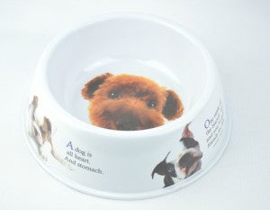 Wise sayings dog bowl