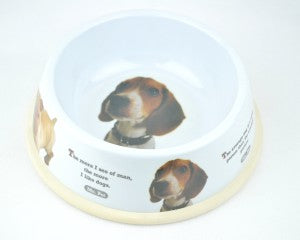 Wise sayings dog bowl