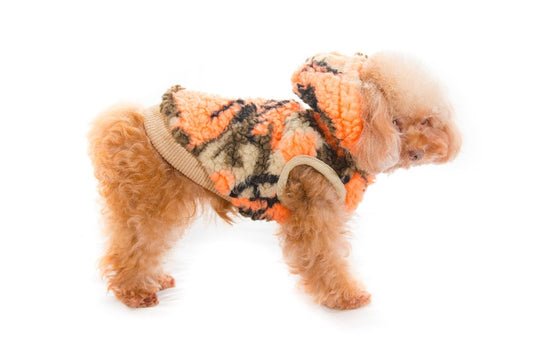 Dog clothes Wonderful ORANGE