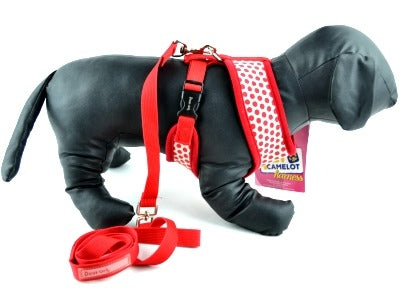 Pet Camelot Red Polka Dot Leash Set