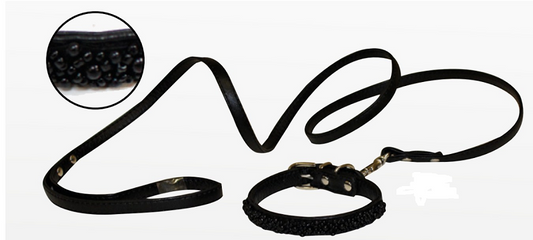 Black Vanity Croci Dog Collar-Guide Set