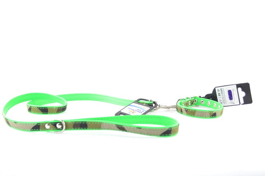 Set collar-guide dog Variation Green Croci